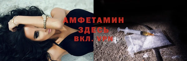 амф Алексин
