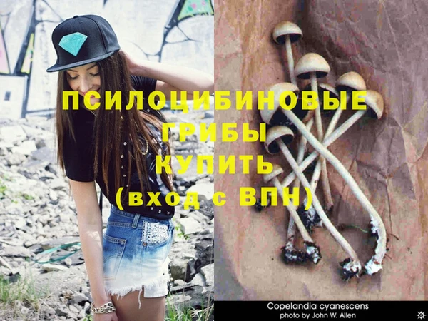 стафф Алексеевка