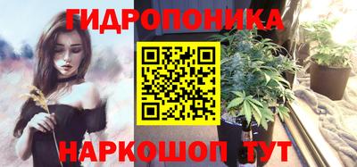прущая мука Гусев