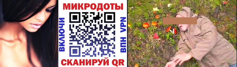 блэк спрут сайт  Сибай  Галлюциногенные грибы Magic Shrooms 
