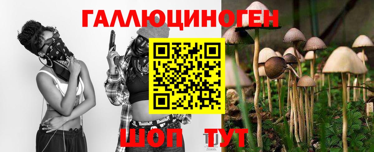 Галлюциногенные грибы MAGIC MUSHROOMS Сибай